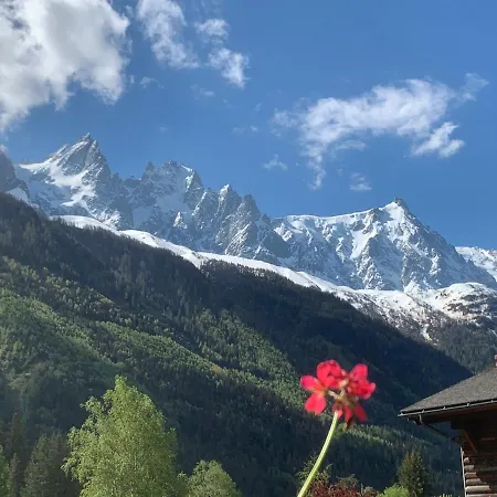 Apartment Appartements, Chalet Le Labrador